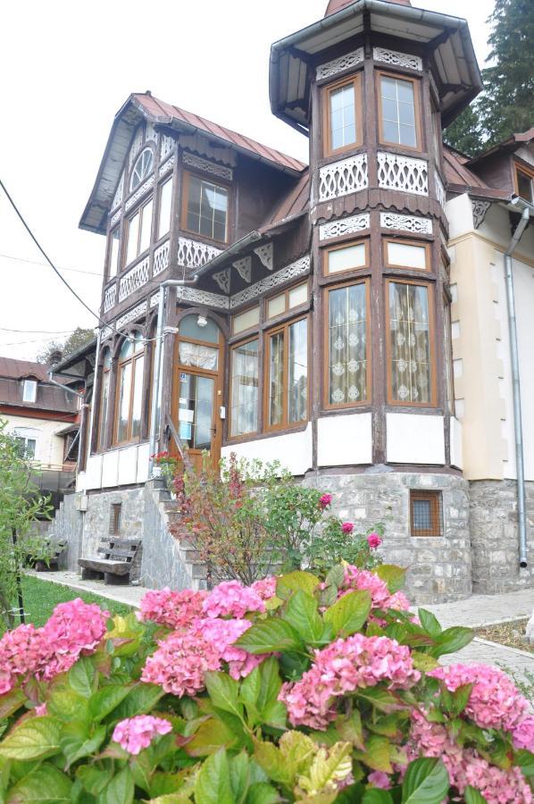 Vila Bradet Busteni Ngoại thất bức ảnh