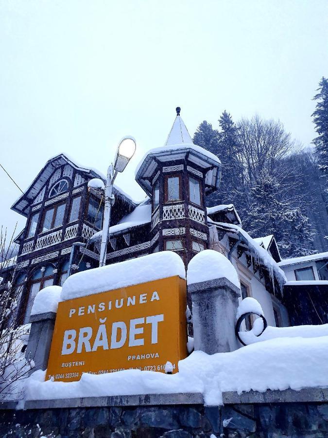 Vila Bradet Busteni Ngoại thất bức ảnh