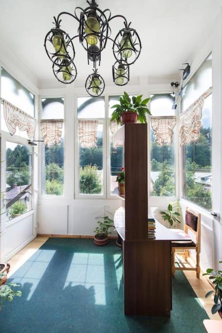Vila Bradet Busteni Ngoại thất bức ảnh